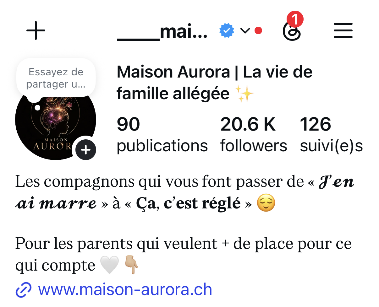 Compte Instagram Maison Aurora aujourd’hui : 16 300 abonnés