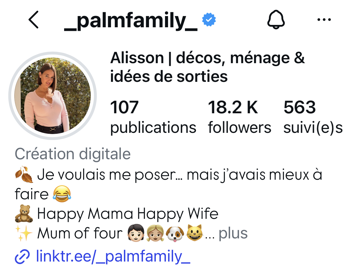 Capture du compte Instagram Palm Family affichant 18,2 K abonnés
